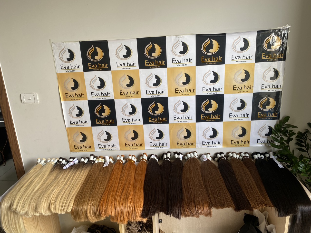 z4713964600227_f19b5a313b2d67fa051e81caeb4b24ca